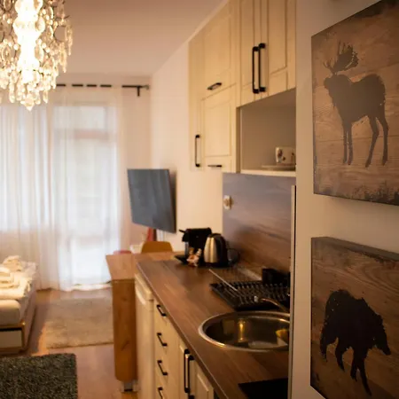 Go Go شقة بوروفتس