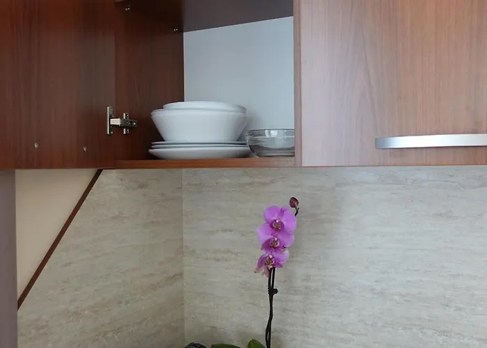 Go Go Appartement Borovets