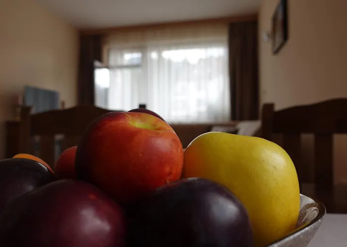 Go Go Appartement Borovets